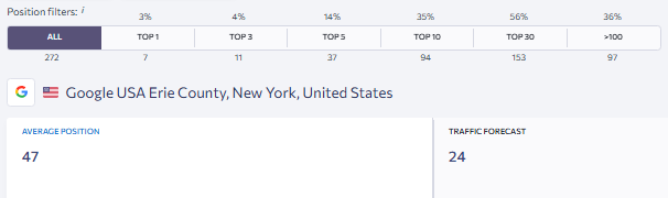 SE Ranking keyword position data after Nico SEO engagement showing average position 47 with 35 percent of 272 tracked keywords ranking in top 10 and 56 percent in top 30 for Erie County New York client